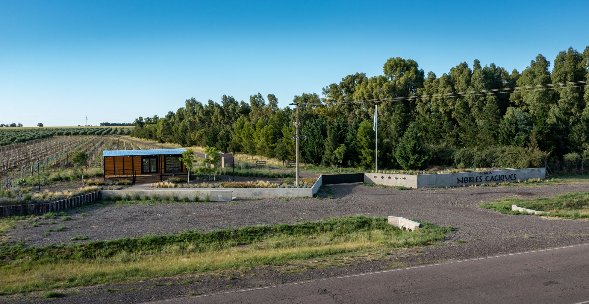 finca nobles caciques aceite de oliva Bahía Blanca